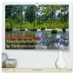 Niedersachsens Moorlandschaften – Das Pietzmoor, Schneverdingen (hochwertiger Premium Wandkalender 2025 DIN A2 quer), Kunstdruck in Hochglanz