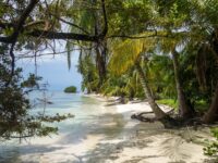 Wunderbare Angebote für Deine Ferien in der Karibik