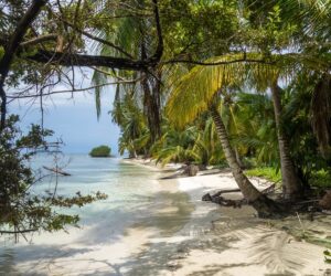 Wunderbare Angebote für Deine Ferien in der Karibik
