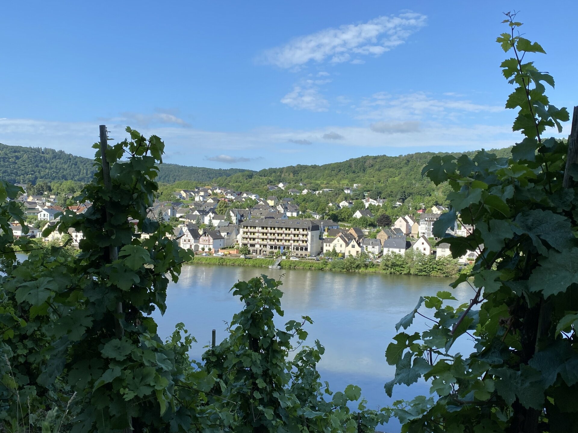 Last Minute 3 Tage Kuscheln an der Mosel inkl. 5-Gang Menü