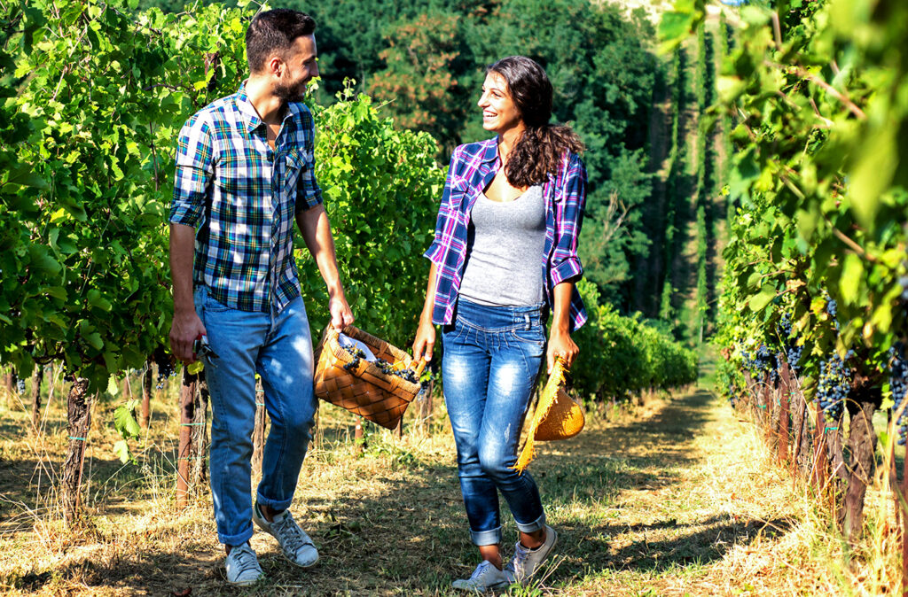 Happy Couple in Vineyard