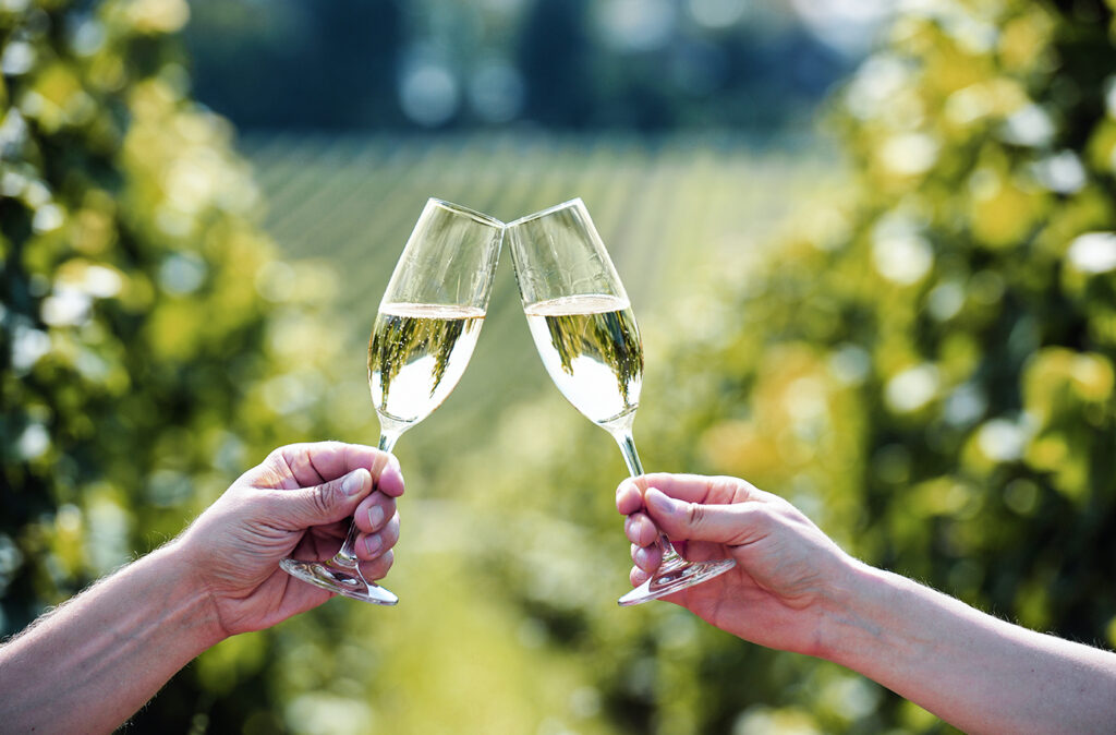 Toasting with two glasses of Champagne in the vineyard