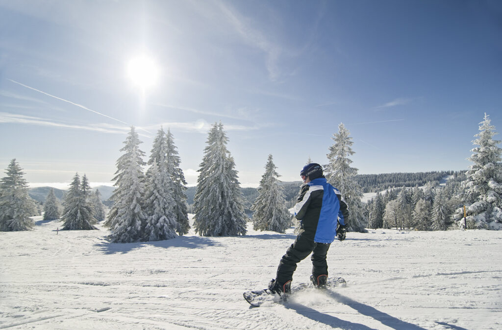 Snowboard