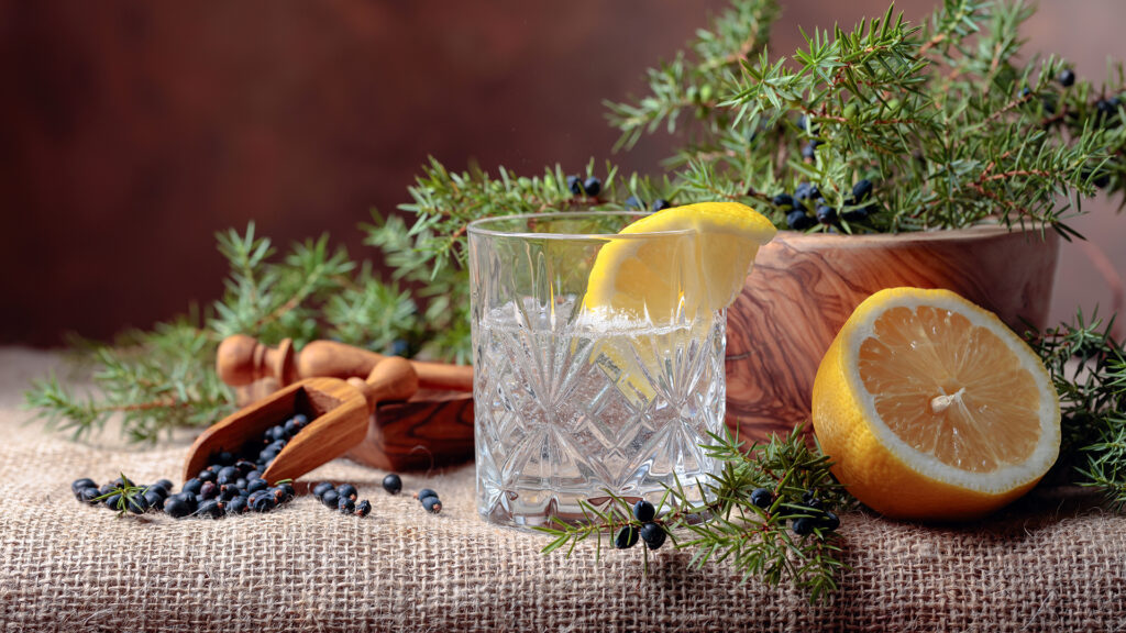 Tonic with lemon and a branch of juniper with berries. Copy space for your text.