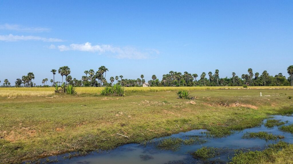 cambodia-603525_1280