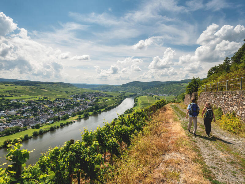 large_8a0092fd588c726b0158baa24e8352c4-Eurohike-Moselsteig