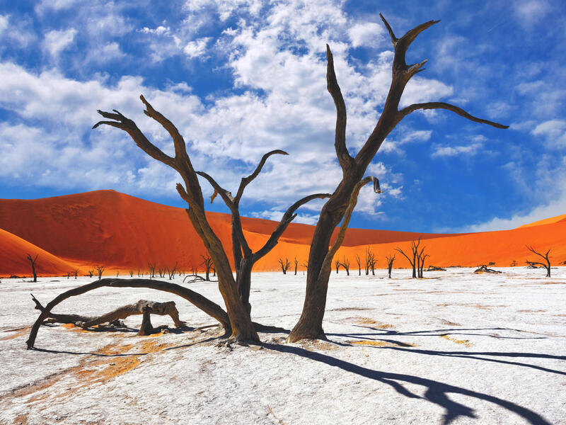 large_8a0092ff5ea31079015ea37c864a737c-Namibia-Sossusvlei