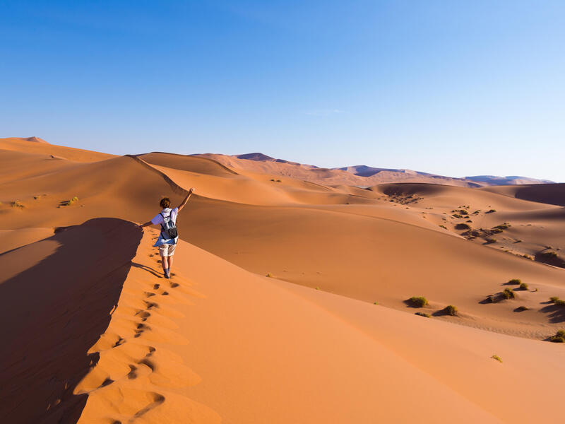 large_8a0092ff669ff4b701674f3924c860f7-Namibia-Namib-Naukluft-Park-Nationalpark