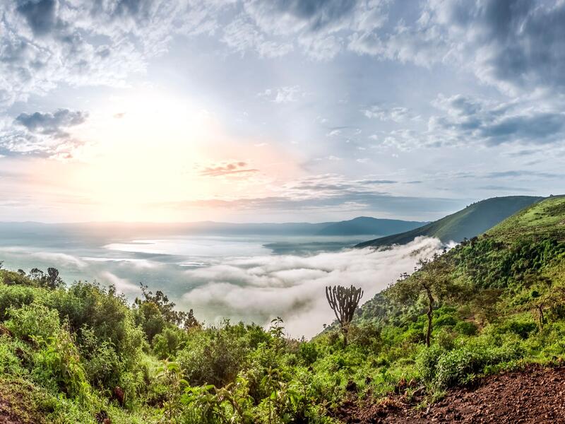 large_8a0092ff6ab43cfe016ad51e71bd2463-Ngorongoro-Krater-Tansania