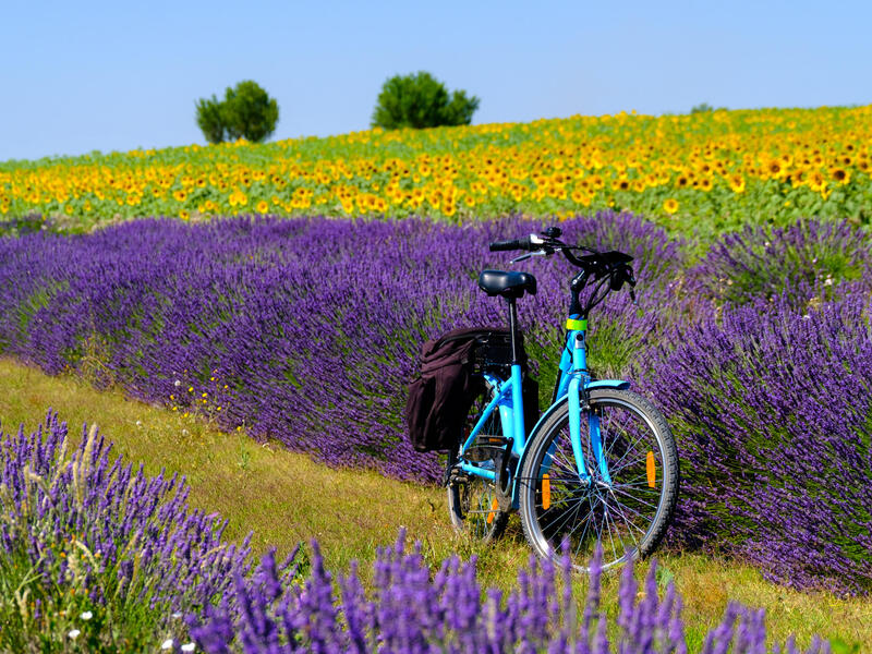 large_8a0092ff6ffc28d601702f3e2ff16103-Frankreich-Provence-Alpes-Cte-d-Azur