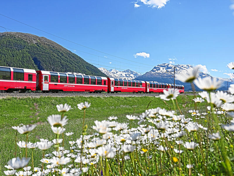 large_8a0092ff7fba1ba2017fbce5b3211666-Rhaetische-Bahn-Bernina-Express-Albulalinie