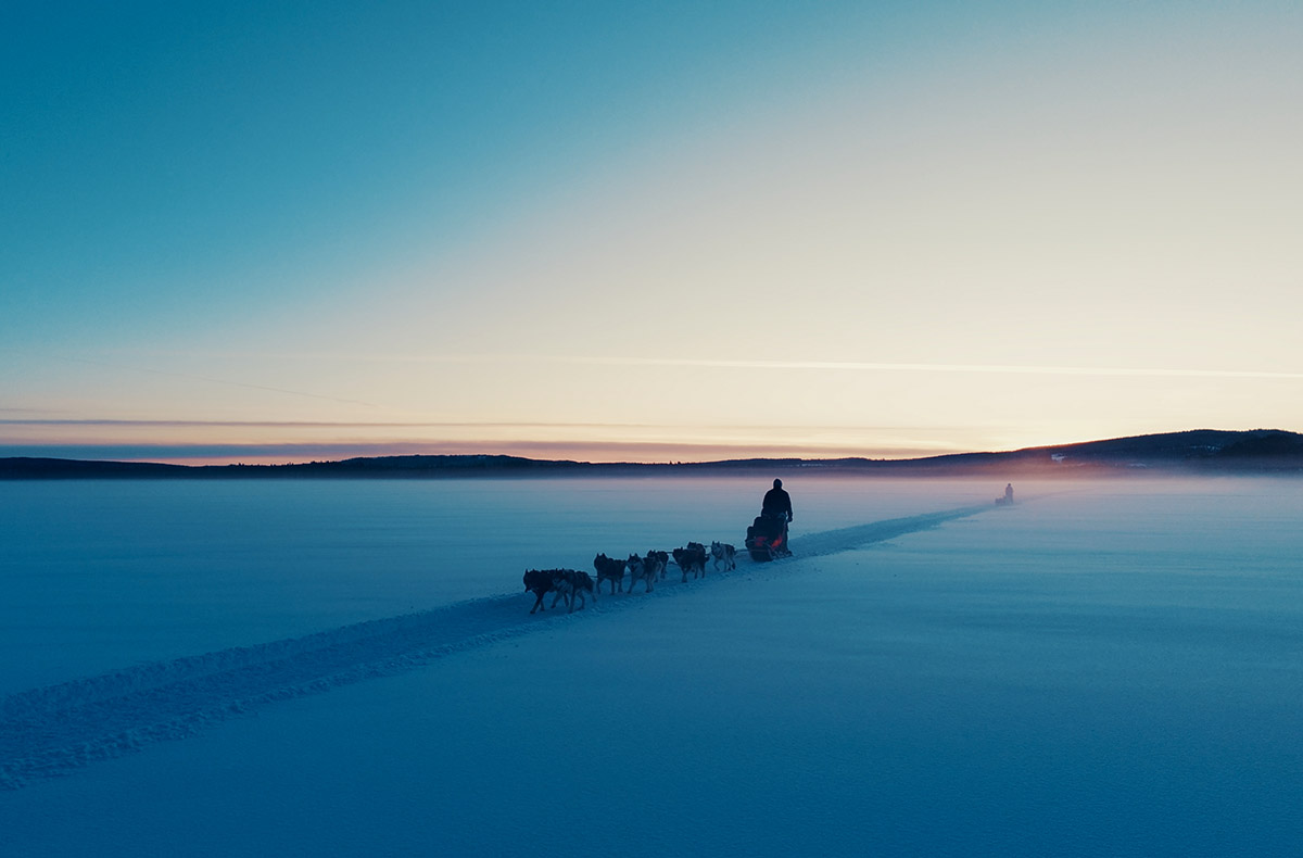 Abenteuerreise Lappland mit Hundeschlitten für 2 (2 Nächte)