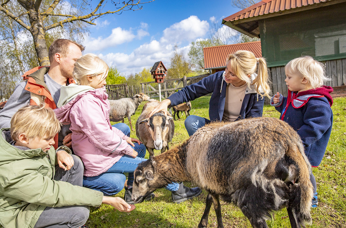 Familienurlaub am Fleesensee (2 Nächte)