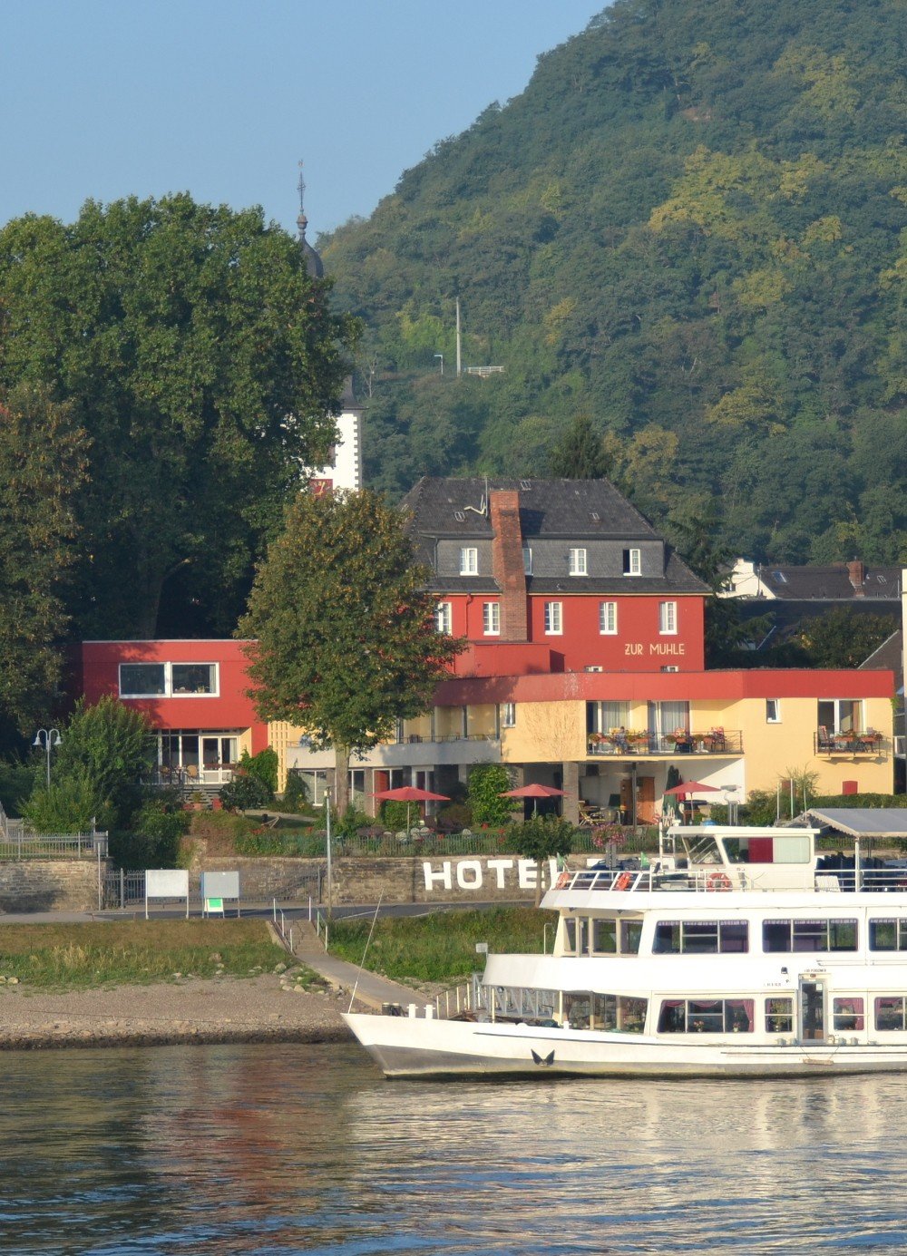 Frühling am Rhein