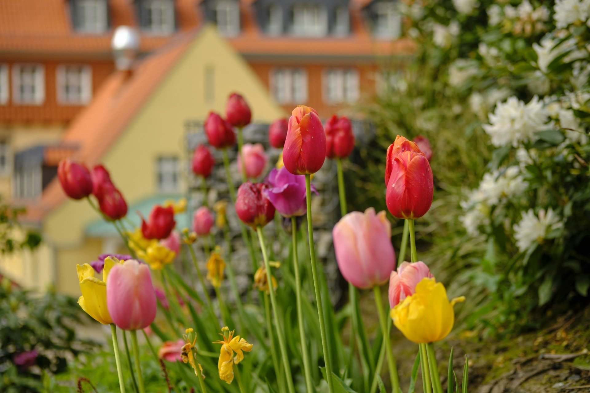 Erlebniswelt Harz - 3 Tage Ettershaus Pur