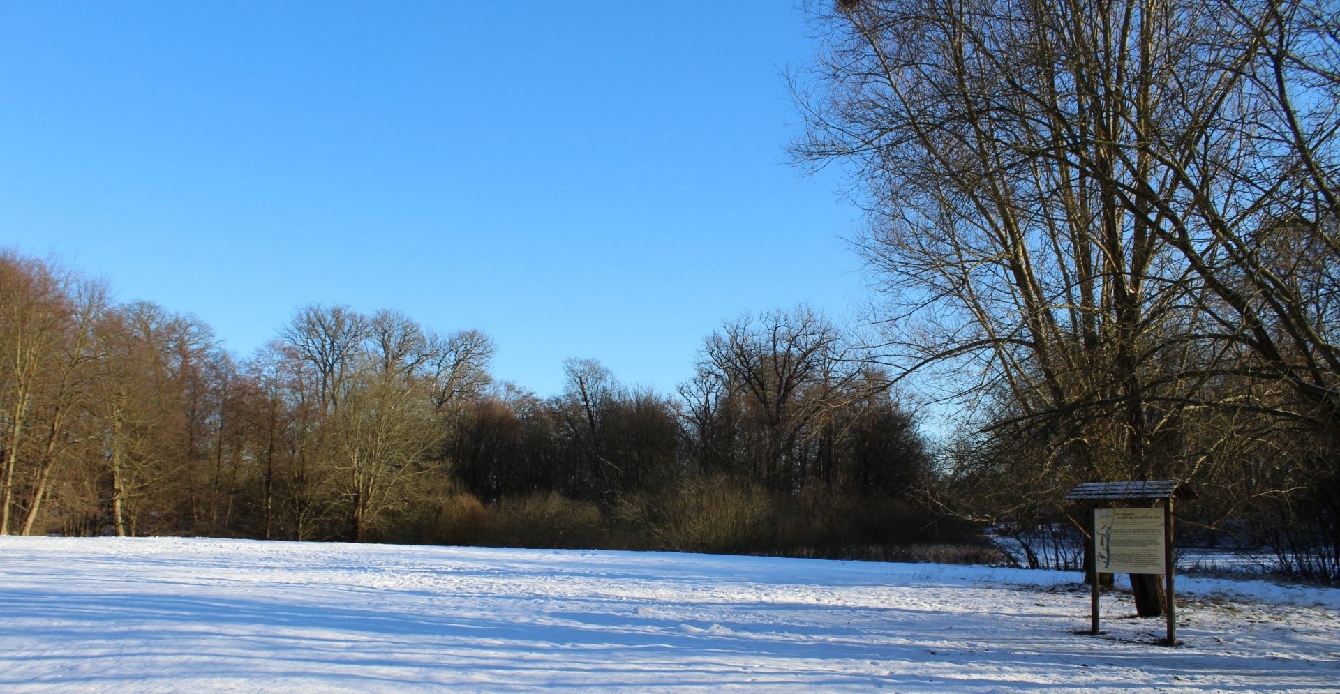 Das Wandern ist... auch meine Lust im Müritz Nationalpark