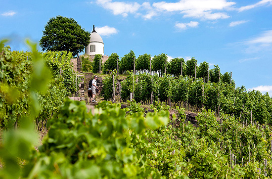 Dresden Kurzurlaub mit Weinprobe für 2