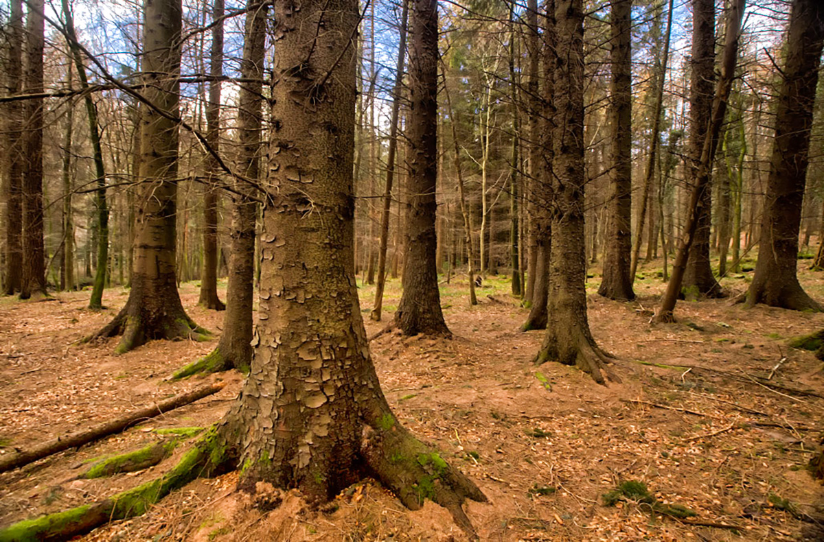 Game of Thrones Filmreise Irland (4 Nächte)