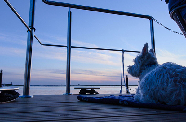 Hausboot mieten für 2 (3 Tage)