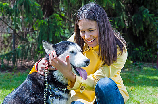 Husky Sommercamp mit Outdoor-Übernachtung Raum Ulm für 2