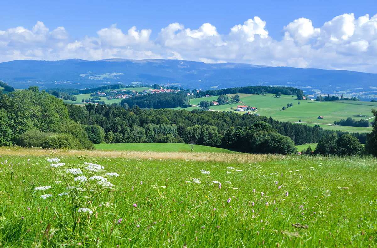 Kurzreise Bayerischer Wald für 2 (1 Nacht)