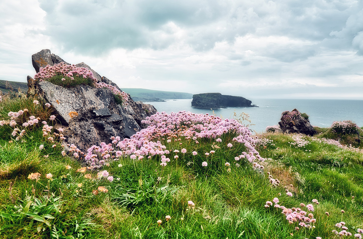 Kurztrip Dublin mit Cliffs of Moher