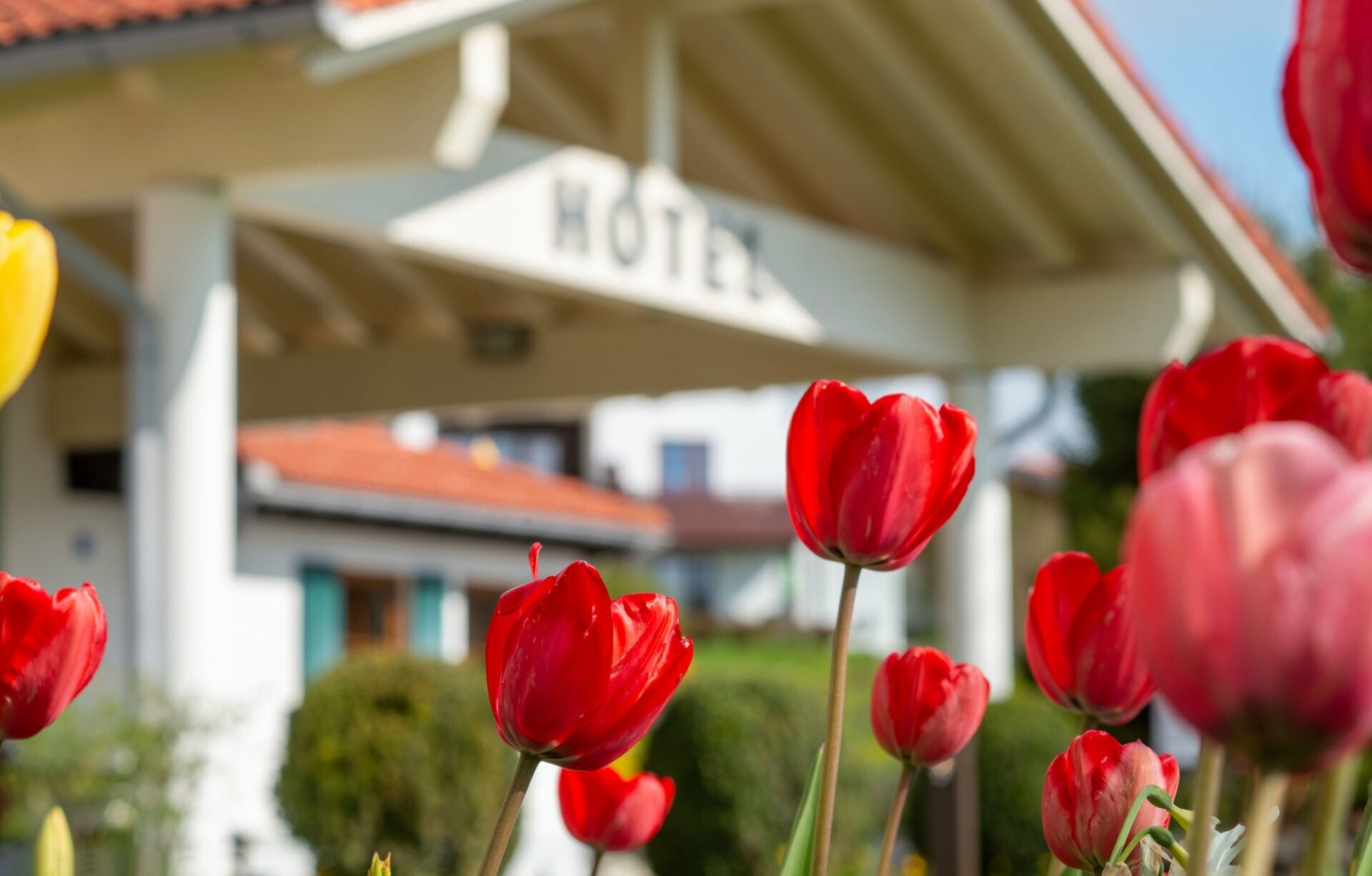 Freundinnen Auszeit im Allgäu