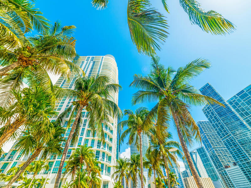 Kombinationsreisen USA & Karibik: Florida-Rundreise & Karibik-Kreuzfahrt mit der MSC Seascape ab/an Miami