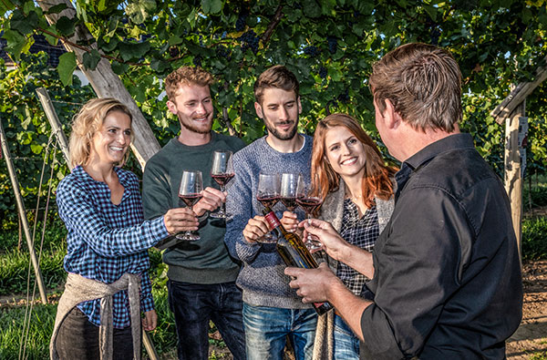 Ein Tag auf dem Weingut mit Übernachtung in der Pfalz für 2