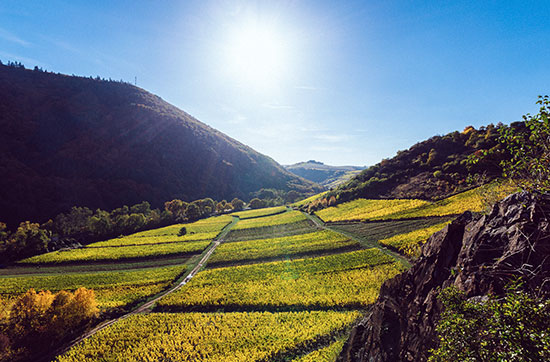 Weingut-Kurzurlaub an der Nahe für 2