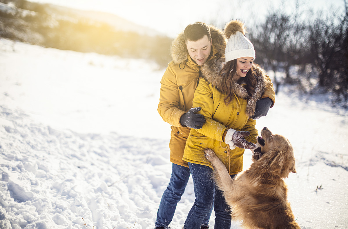 Winterurlaub mit Hund auf Sylt für 2 (1 Nacht)