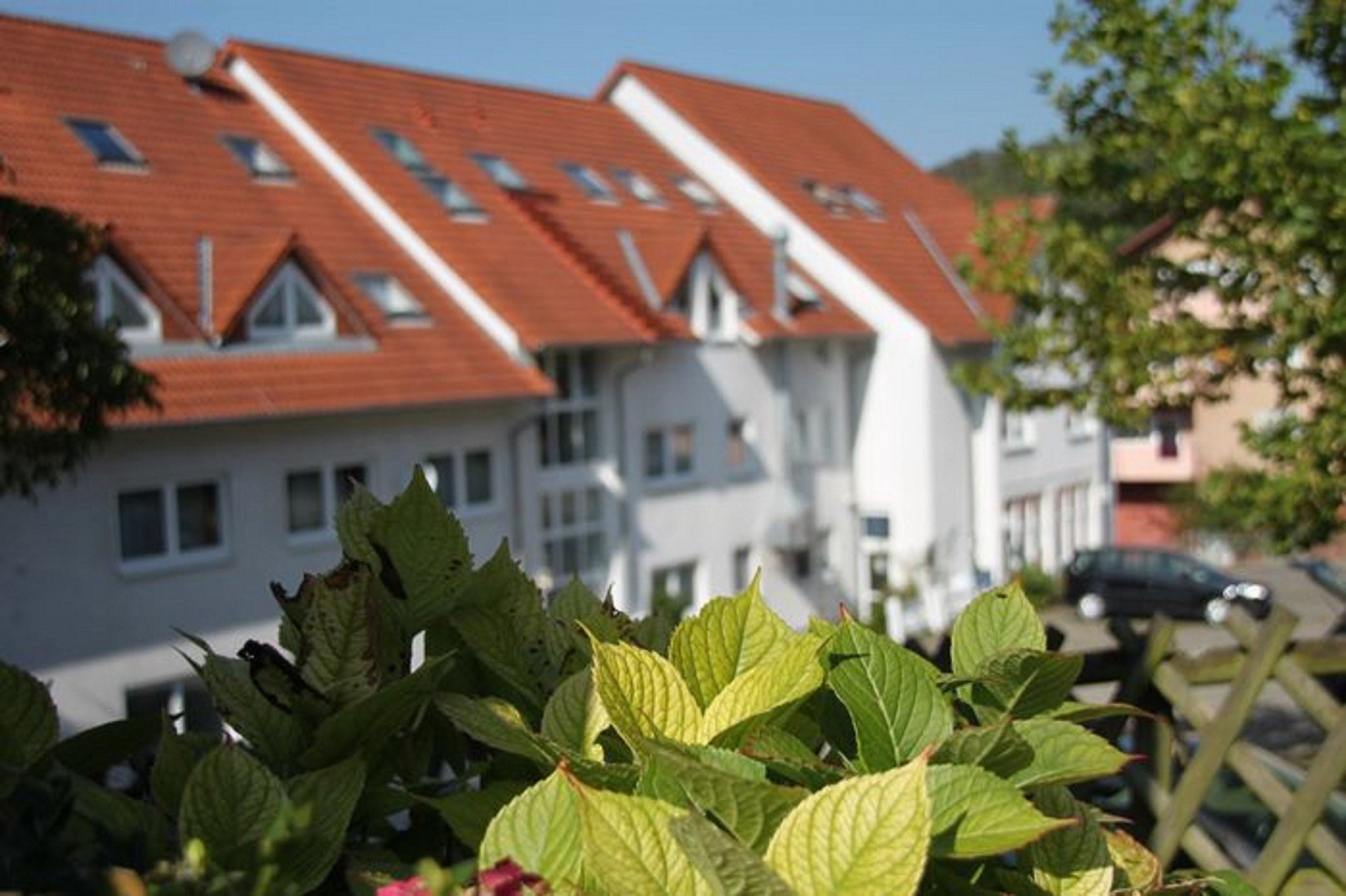 Sinsheim -Therme: Palmenparadies & Saunalandschaften und 1 Ü.