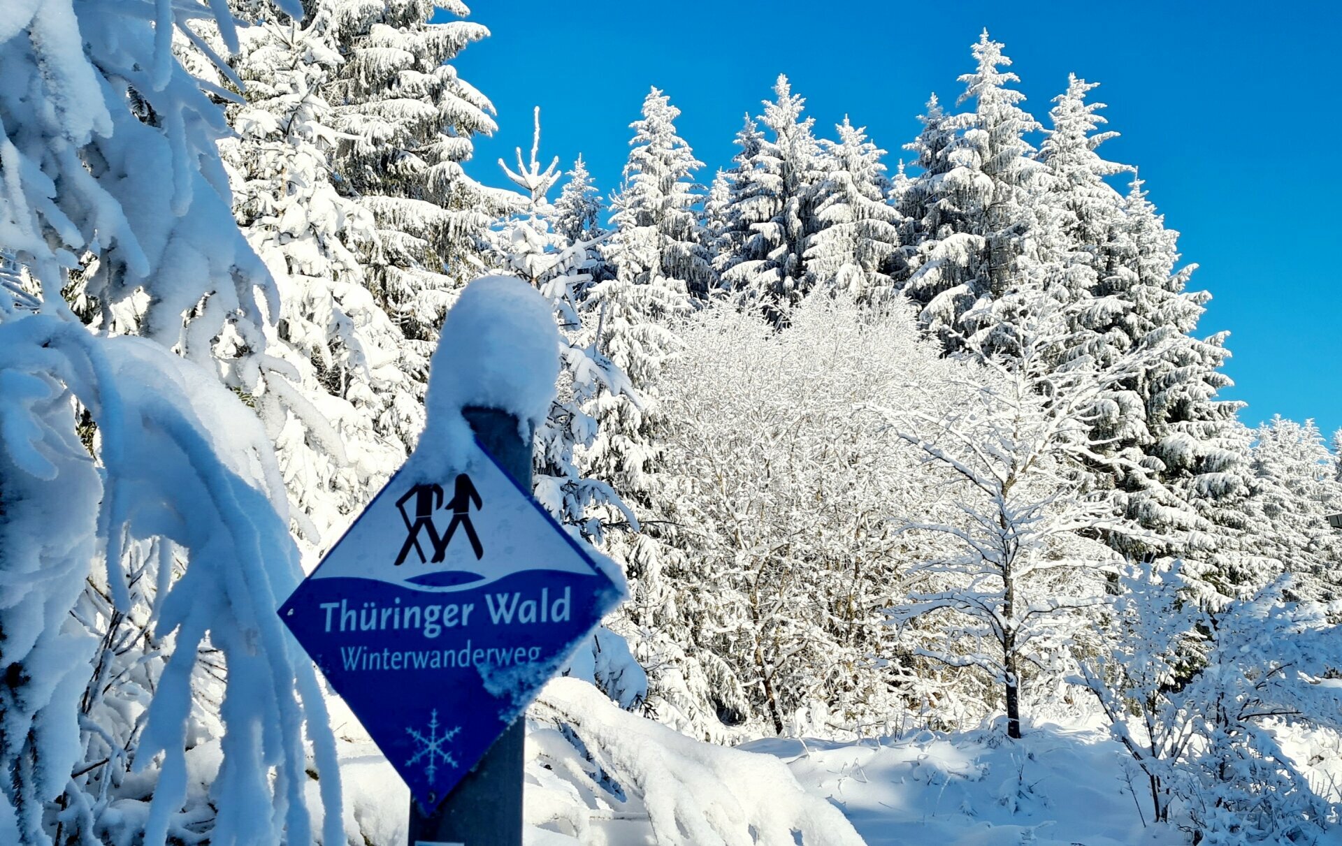 Zweisamkeit in Thüringen