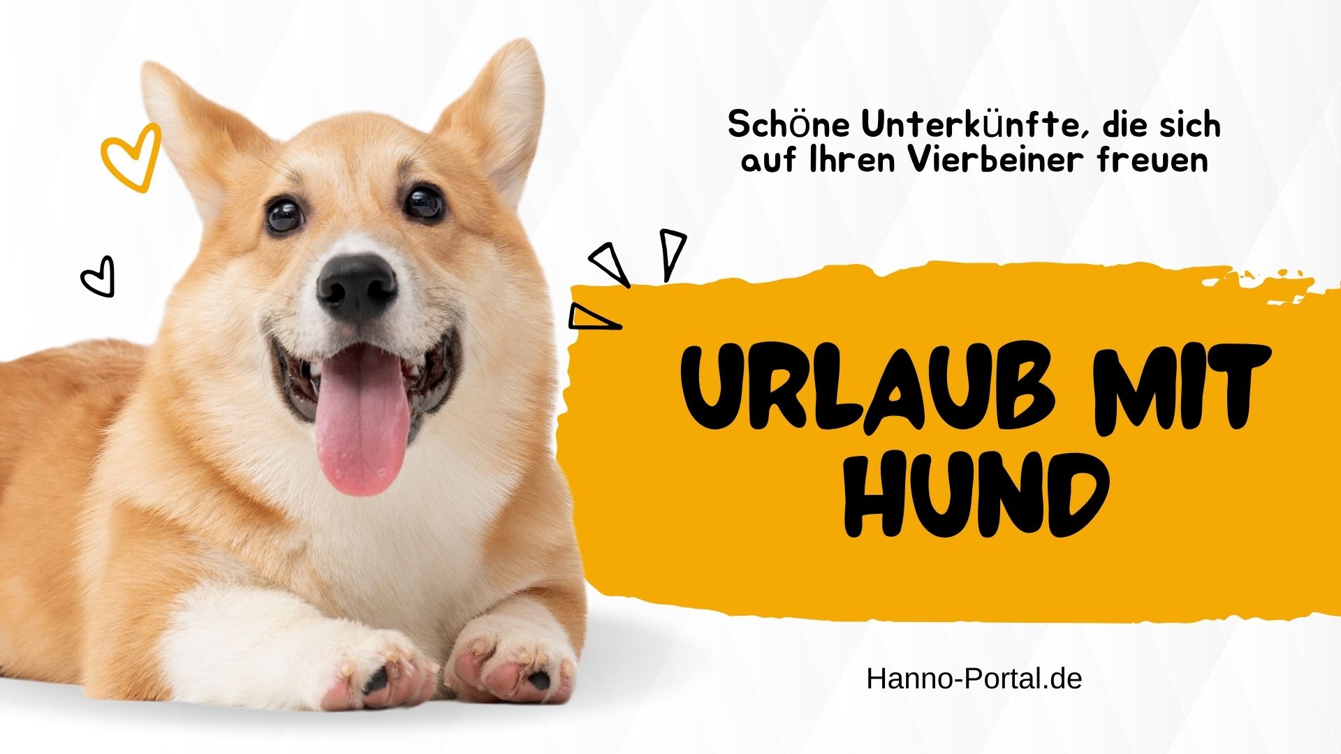 Familienzeit mit Hund  warum zusammen verreisen mehr Spaß macht