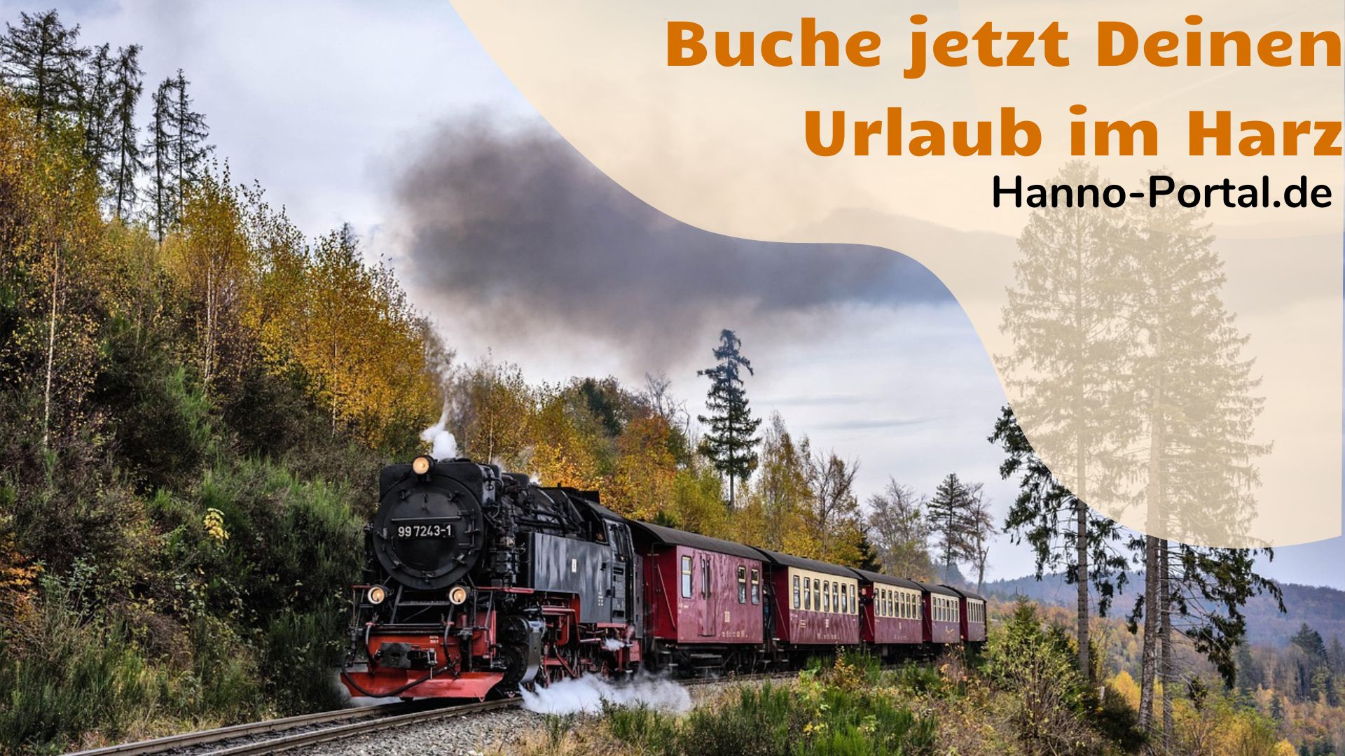 Harz-Kurzurlaub = Freiheit pur! Du wanderst, genießt regionale Köstlichkeiten und lebst im Moment.