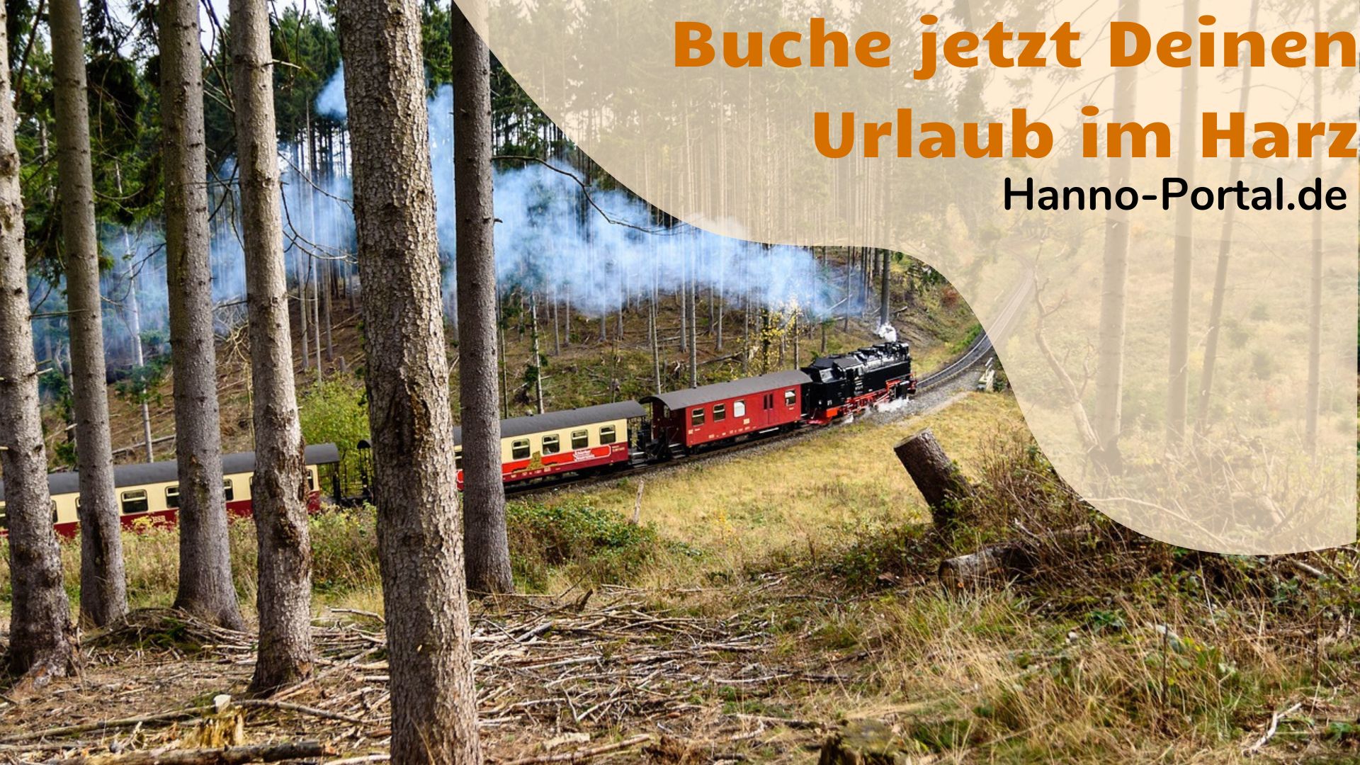 Winterzauber oder Sommergrün? Der Harz begeistert zu jeder Jahreszeit  pack die Tasche!