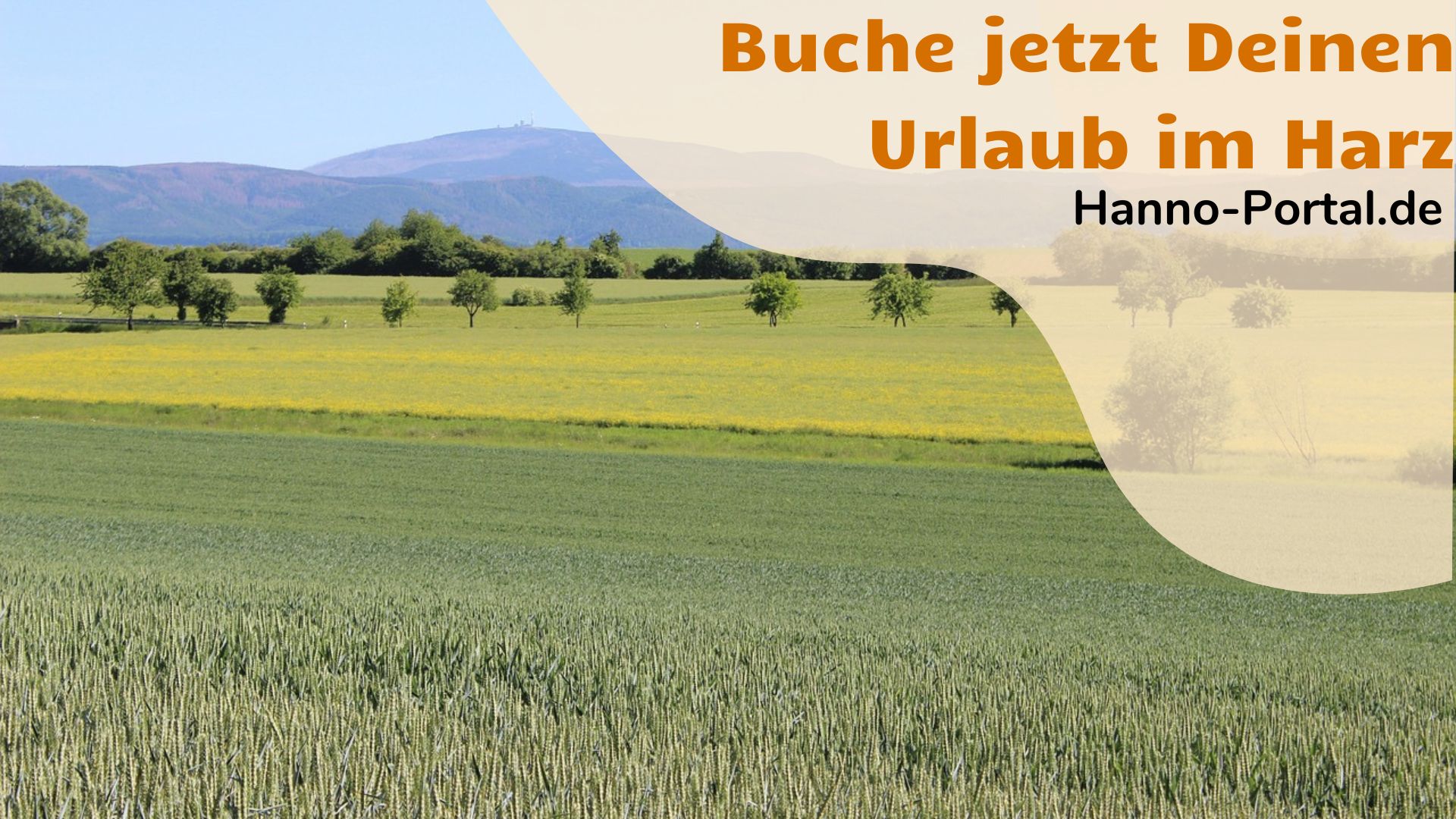 Magischer Harz ruft! Ob Brocken-Wanderung, Burgromantik oder Sternegucken  Dein Moment wartet.