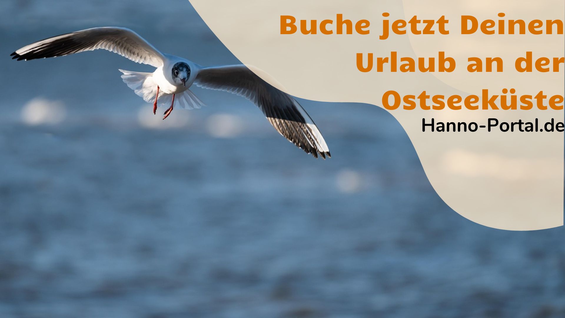 Auftanken an der Ostsee: Wellness, frische Brise und Fischbrötchen-Glück!