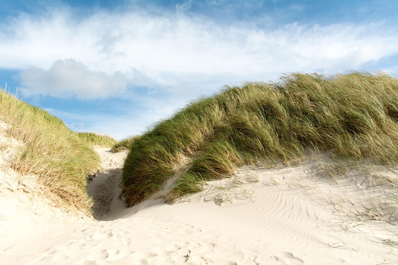 Die perfekte Auszeit - Strandspaziergänge und Meerblicke in Timmendorfer Strand