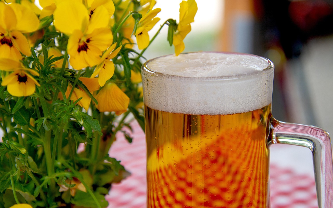 Bierkultur live - freue Dich auf eine schöne Bier-Reise