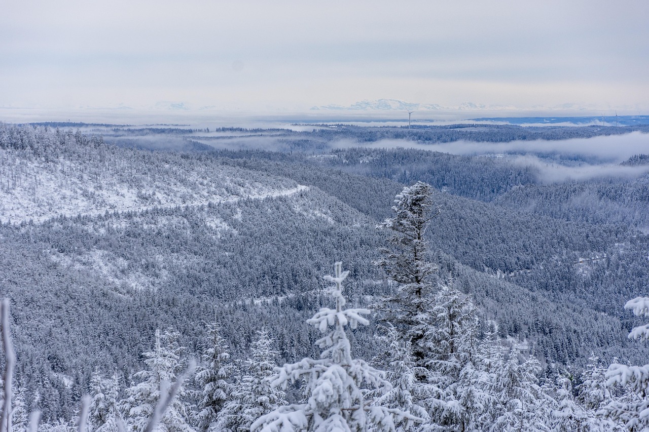 Schwarzwald-Luft, klare Sterne und Lagerfeuerromantik. Einfach auftanken!