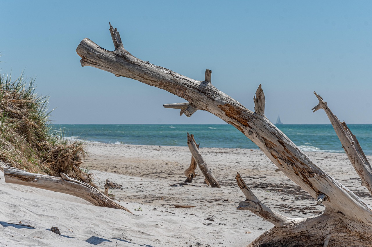 Urlaub am Strand zum Verlieben jetzt Deine perfekte Reise sichern!