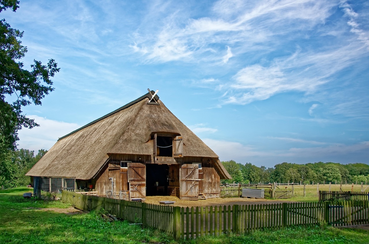 Erholung pur  entdecke die magische Lüneburger Heide