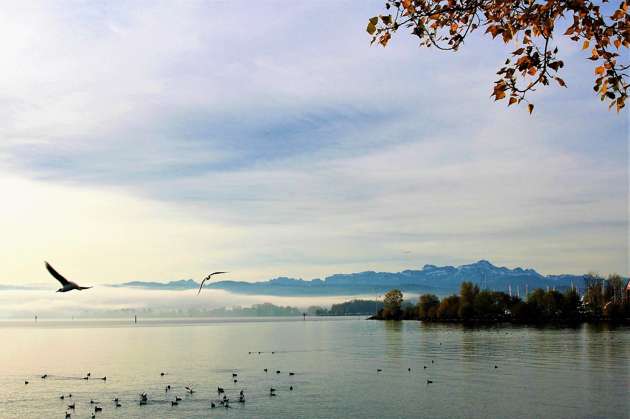 Bodensee im Winterglanz - Adventszauber und Schneespaziergänge