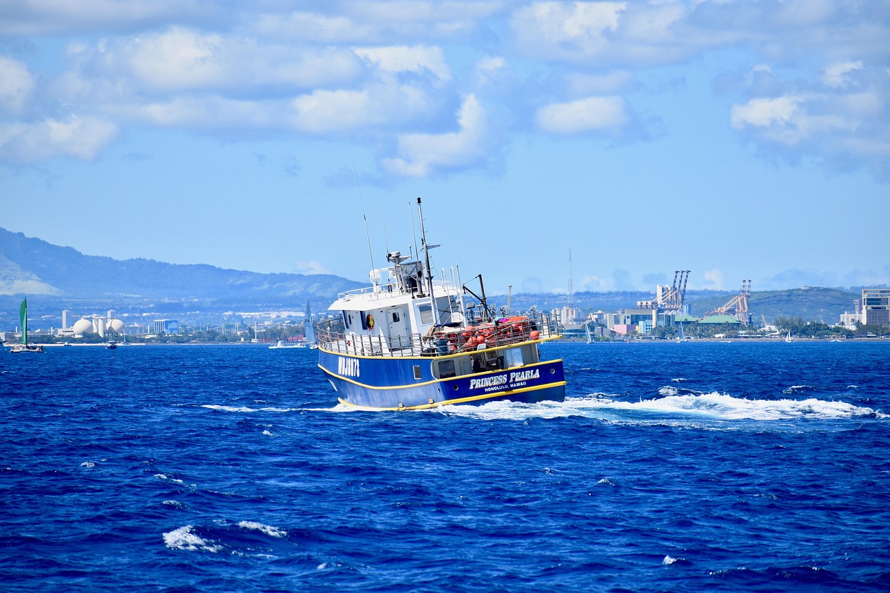 Honolulu is Calling  mit diesen Deals fliegst Du günstig nach Hawaii!