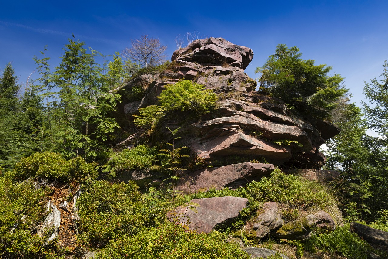 Wintermärchen oder Sommergrün? Der Schwarzwald begeistert zu jeder Jahreszeit  pack die Koffer!