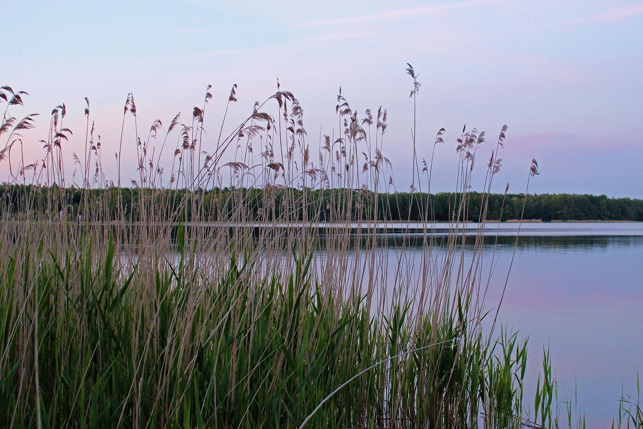 Last-Minute-Deals für erholsame Tage in Mecklenburg-Vorpommern