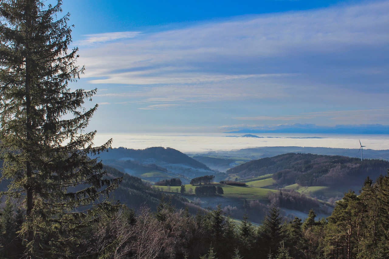 Im Schwarzwald tankst Du Energie  ob beim Wandern, Wellness oder Schlemmen in urigen Hütten!