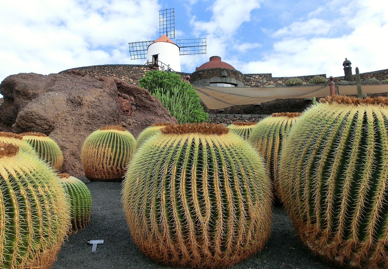 Lanzarote  Mondlandschaften treffen auf türkisblaues Meer