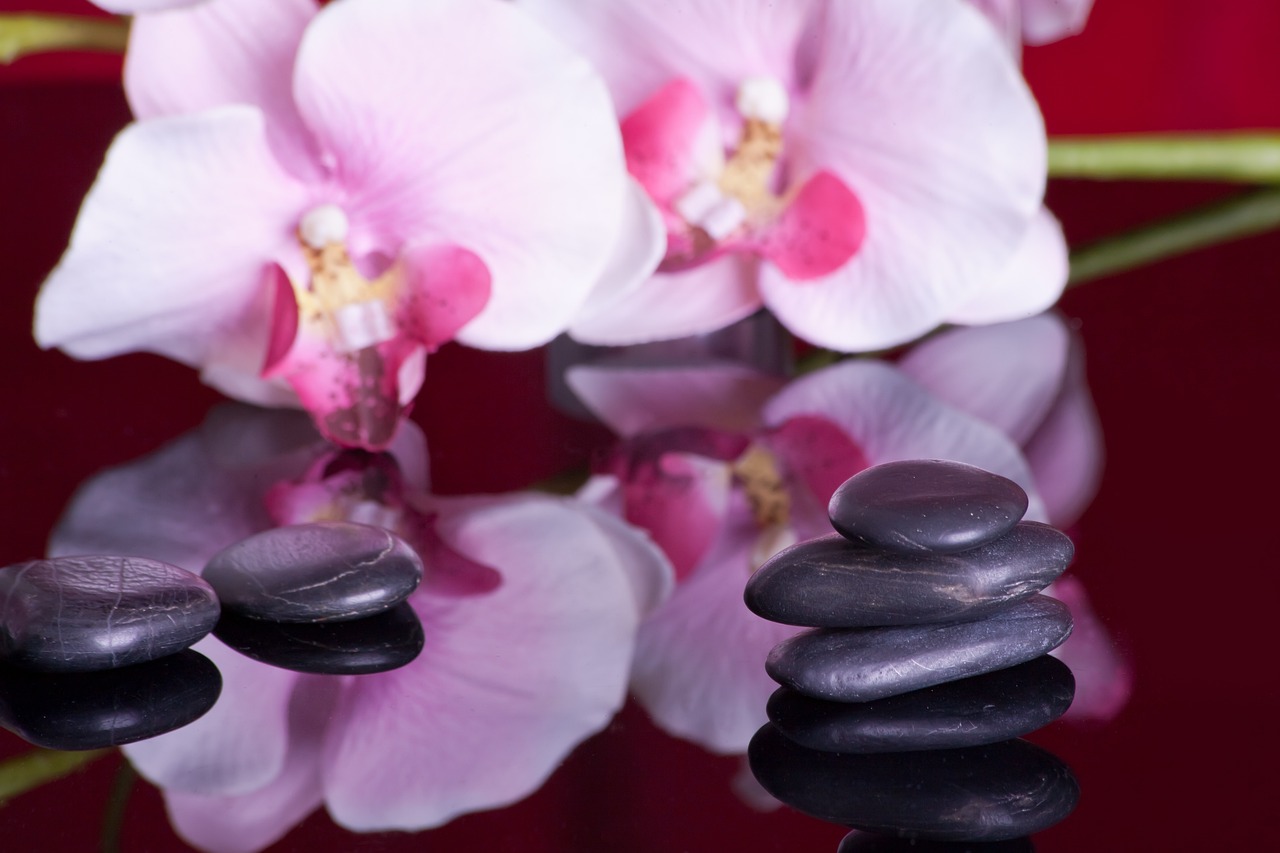 Luxus für die Seele  buche jetzt deine Wellness-Oase!